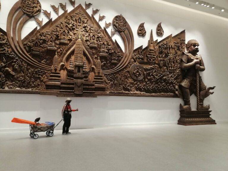 เหยี่ยวไล่นก